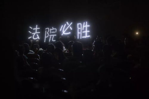 王晚晴短剧免费观看，探索影视新潮流的绝佳选择