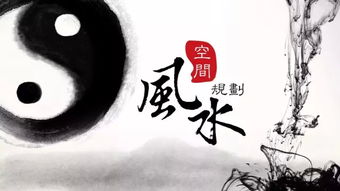 免费观看，风水先生的智慧与魅力短剧