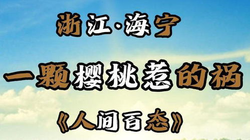铤而走险，免费观看小短剧的探索之旅