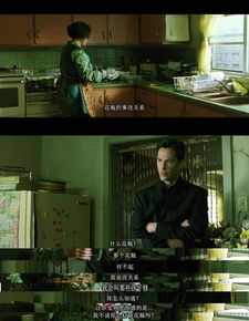 未来之门，免费观看全集中短剧预知未来