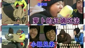 爆笑卧底全系列，笑点满满，免费观看！