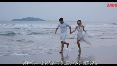 豁达情感，免费在线短剧欣赏
