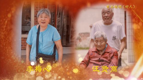 洛家老祖，免费观看的精彩短剧体验
