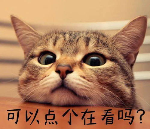 她很孤独，一部值得一观的在线免费短剧