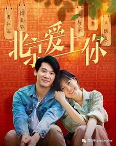 厨子老爸的认亲喜剧，情感与欢笑的交织短剧在线观看高清版