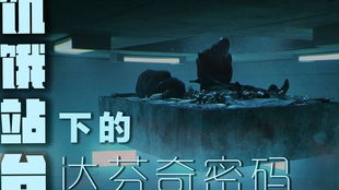 进击的玫瑰，深度剖析人性之暗的背叛启示录