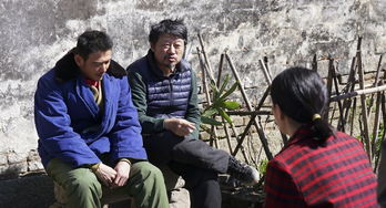 父亲进城，情感波折与人性探寻之旅——女友出轨后悔短剧免费观看