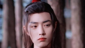 重生后，她宠冠后宫，视觉与情感的顶级赘婿短剧免费观看