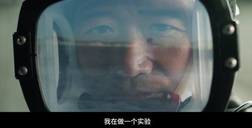 《替身为凰》，河马短剧视频免费下载观看，探索影视娱乐的新领域，河马短剧视频免费下载观看