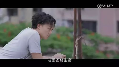 休夫后，她名动京城，苏栀小姐短剧世界的魅力与深度探索