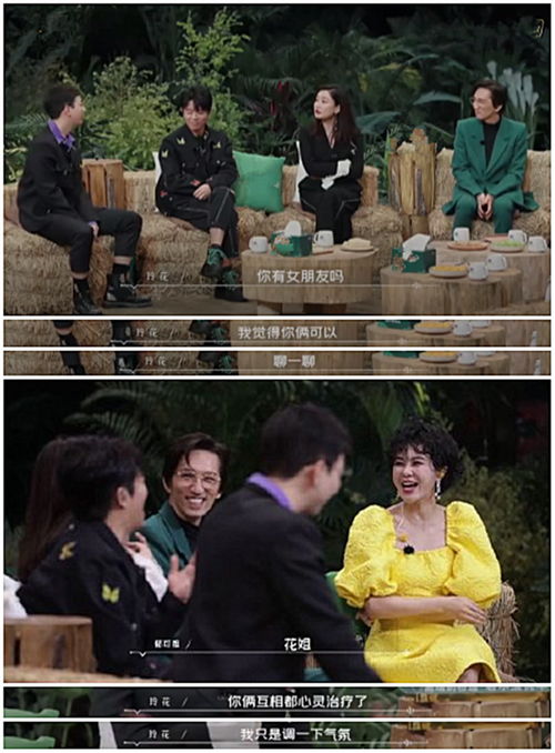 《小男友藏不住了》，翻盘人生，短剧的魅力与免费观看之道，翻盘人生短剧免费观看全集陈浩
