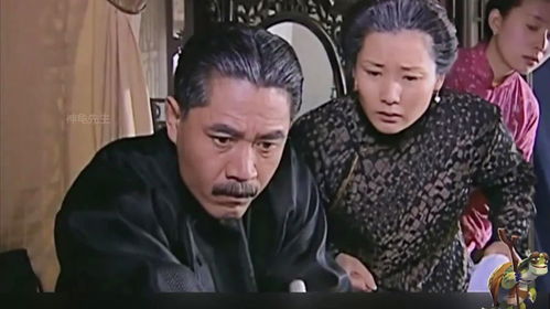 厨子老爸的认亲之路，磐龙短剧的魅力与精彩解读（第38部）