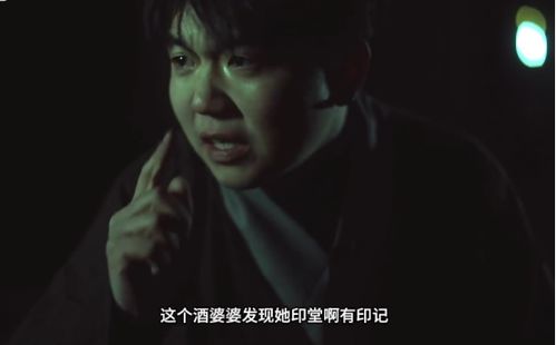 《回国后，傲娇大佬日日痴缠》，黑帮大叔短剧免费观看全集，探索犯罪世界的魅力与反思，黑帮大叔短剧免费观看全集下载