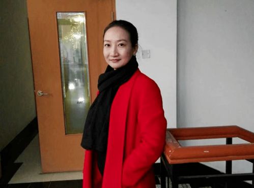 《高考300分:我被名名校抢疯了》，古装短剧飞燕全集免费观看，历史与情感的完美结合，古装短剧飞燕免费观看全集视频