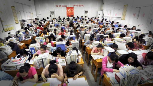 高考300分背后的名校争夺，短剧回来的我们免费观看全集