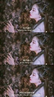 《爱你不逢时》，无双短剧，48集精彩纷呈，免费观看体验，无双短剧48集免费观看视频