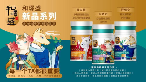《乖乖被你宠》，短剧推荐，小伟哥的精彩世界，免费观看，短剧推荐小伟哥免费观看全集