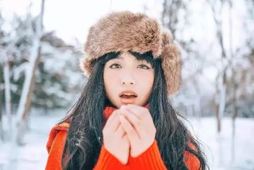 《美飒小厨娘》，免费搬家短剧在线观看全集，城市中的温馨瞬间与故事转折，免费搬家短剧在线观看全集