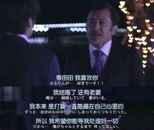 年上大叔狠狠爱，小姨夫短剧深度解读与免费观看指南