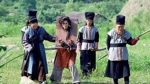 父亲进城，保安穿越古代，免费观看之旅