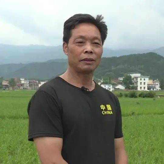 宫总你家六宝又拆家攻略指南，短剧免费观看第二季
