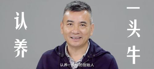 父亲进城，婚礼遇村霸背后的故事与情感碰撞免费观看短剧解读