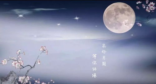 待到花好月圆时高清短剧，遗憾之美，触动心灵的免费观看之旅