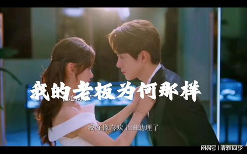 傻妻是隐藏大佬，免费在线观看全集，爱的故事探索