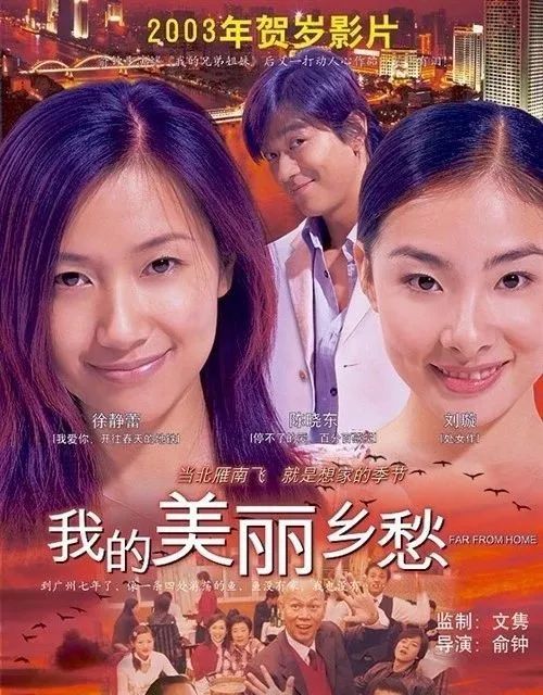 闪婚后总裁身份曝光了全集免费观看，剧情与选择的魅力探索之旅！
