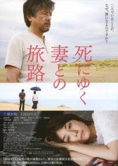 无法原谅免费高清在线观看，有钱女婿短剧魅力之旅启动！