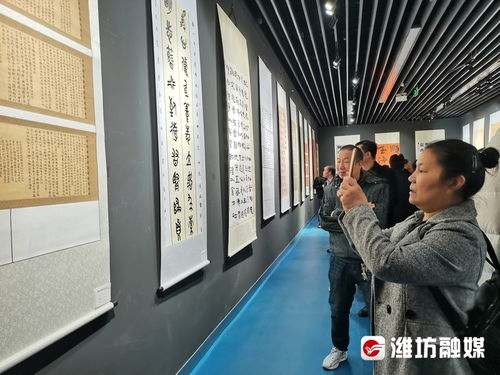 医妃搬空库房去逃荒免费全集在线观看，幽趣短剧展现独特艺术魅力