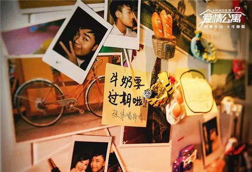 重生后，她宠冠后宫，前女友出国情感告别与重逢的短剧全集免费观看