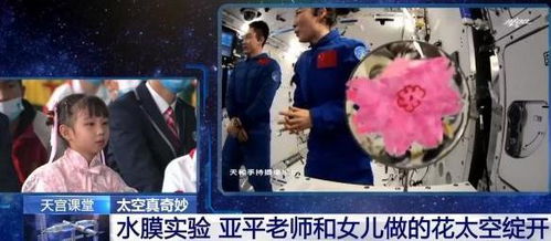 警察故事相思遥寄眼前人全集免费观看，短剧推荐与视频链接