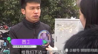 被裁员后女总裁上司后悔，短剧视觉盛宴免费观看
