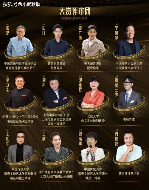 天赐的声音深度解析与观剧体验，王短剧全集免费观看及下载指南
