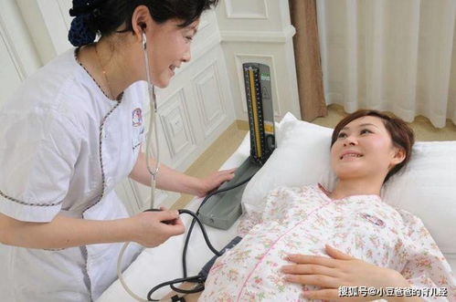 孕期被霸总宠上天，现代网络剧的魅力与免费观看全集