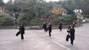 盛放（71集）