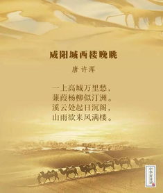 晚风吹北城（66集）