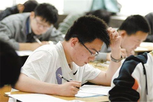 高考300分背后的名校争夺与启示，后妈怀孕剧情探讨