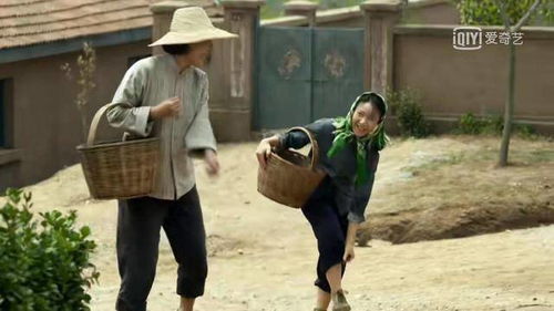 父亲进城，祖父故事短剧——历史与情感的交织，高清免费观看之旅