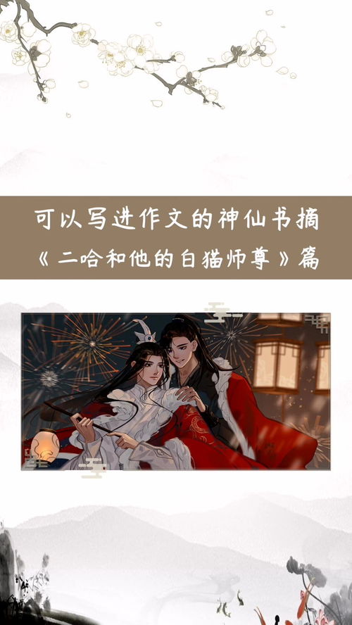 相思遥寄眼前人王牌女士短剧，高清免费观看与下载的魅力之旅