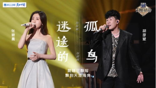 天赐的声音，情感共鸣的暖爱片段短剧免费观看体验