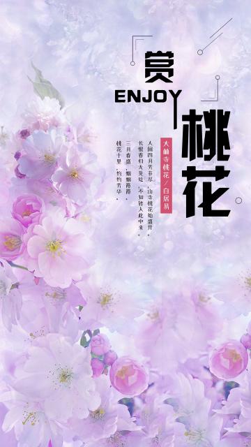 《相思遥寄眼前人》短剧在线观看，恰似人间芳菲尽（68集）——探寻生命之美与人生百态短剧在线观看，恰似人间梦短剧在线观看