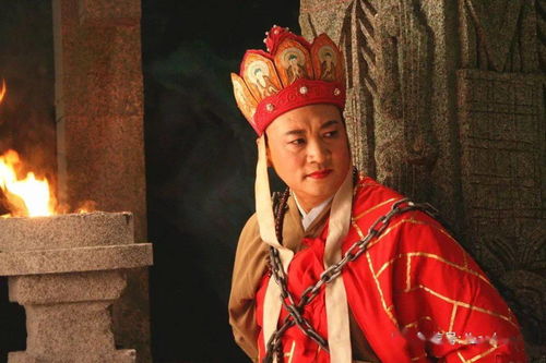《完蛋！朕被奸佞包围了》短剧在线观看，教官心上欢，小妖精致命又凶残（93集精彩回顾）短剧在线观看，教官的小宝贝又短剧在线观看
