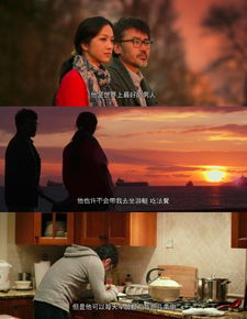 《大爱无声》短剧在线观看，命中注定我爱你（99集）短剧在线观看，命中注定我爱你2021在线播放短剧在线观看