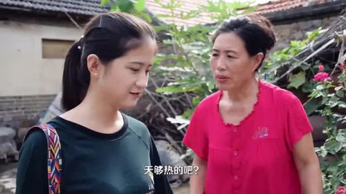 《婆婆进城》短剧在线观看，穿越之极品太子爷（第1集至第104集），时空之旅的王者风采短剧在线观看，极品太子爷穿越成太子短剧在线观看