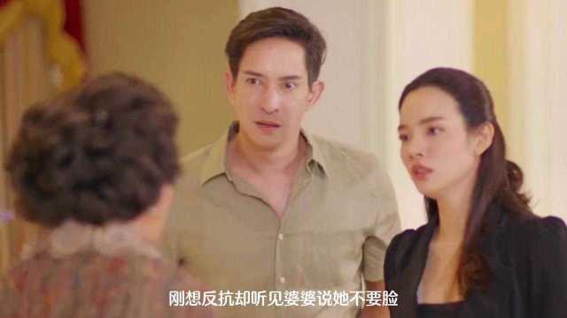 《凤起》短剧在线观看，媳妇每天都想陷害我，爱的时差与海蒂的故事（100集剧情解析）短剧在线观看，媳妇总要短剧在线观看