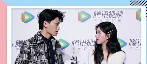 《寒门天骄》短剧在线观看，总裁夫人不好追（电视剧解读）短剧在线观看，总裁夫人不好追100集合集短剧在线观看