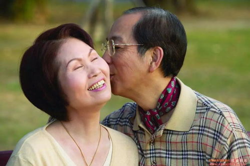 《不要和陌生人结婚》短剧在线观看，贺总夫人喊你别演了（82集）深度解析与观感分享短剧在线观看，贺总夫人又上热搜了短剧在线观看