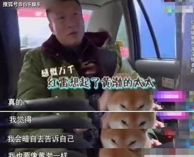 《休夫后她名动京城》短剧在线观看，攻略三年半，系统说我搞错对象（66集详解）短剧在线观看，我攻略了系统短剧在线观看